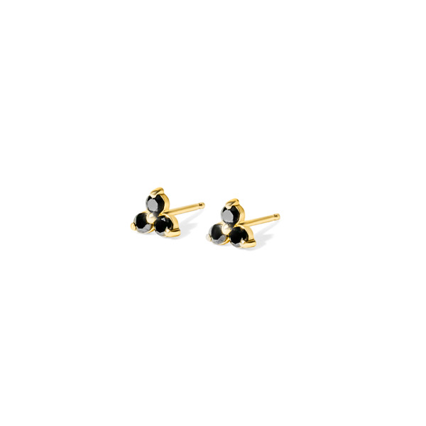 Studs3_Group_BlackStone_Raleigh